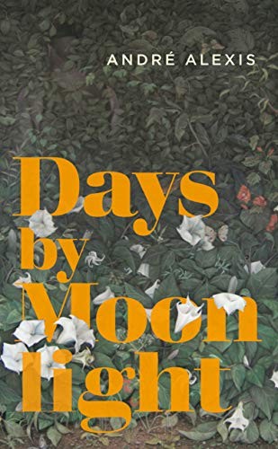 [d12d6a28-5875-43b8-a8cc-a2dc652b8bd0] Days by Moonlight